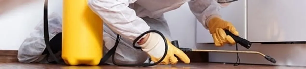 Roach exterminator treating cracks and crevices along kitchen baseboards in Orlando, FL