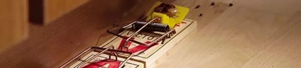 Rodent trap set indoors for rodent control and prevention in Orlando, FL